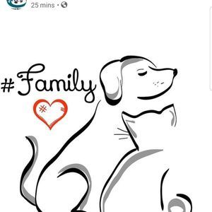 Meet your Posher, Tabitha